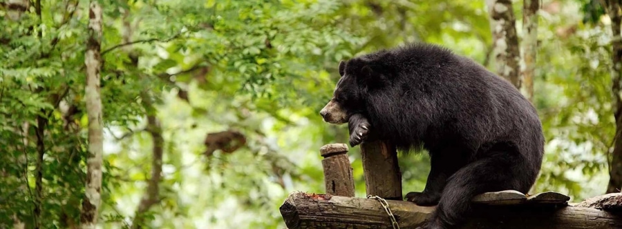 discover Xe Pian National Protected Area