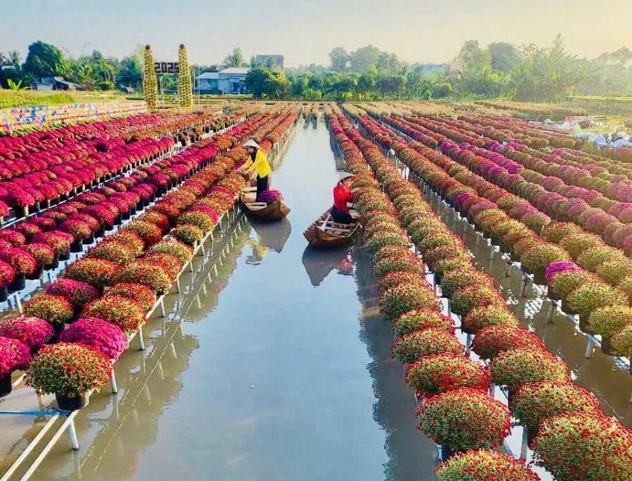 Gaining Knowledge About Growing Flowers