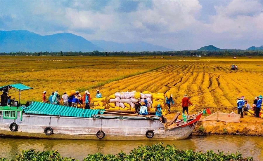 Rainy Season in Mekong Delta