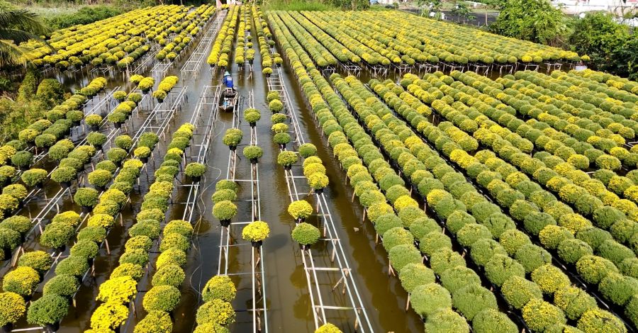 Sa Dec Flower Village 3