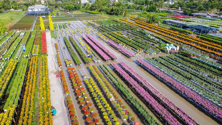 Sa Dec Flower Village 2