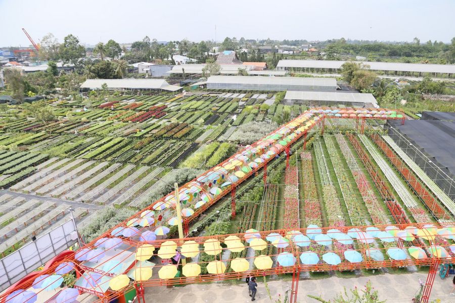 Sa Dec Flower Village before Tet
