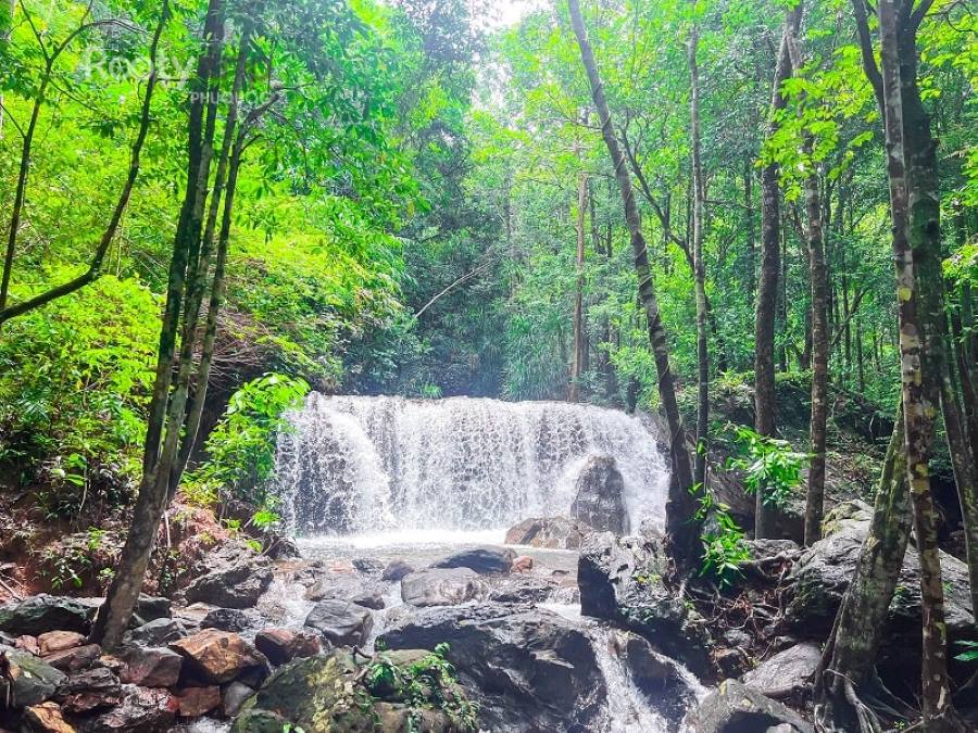 Tranh Waterfall