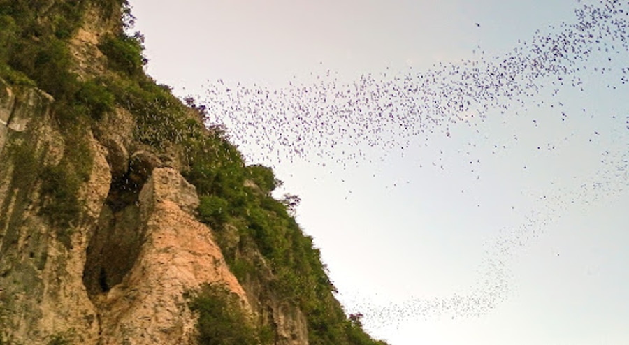 Bat Cave, located in Battambang