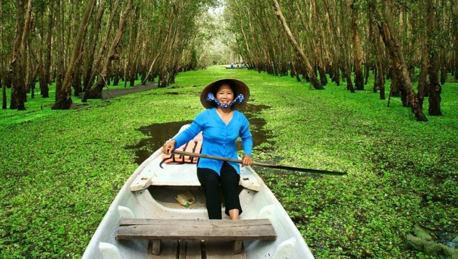 Boat Riding Through Flooded Melaleuca Forests