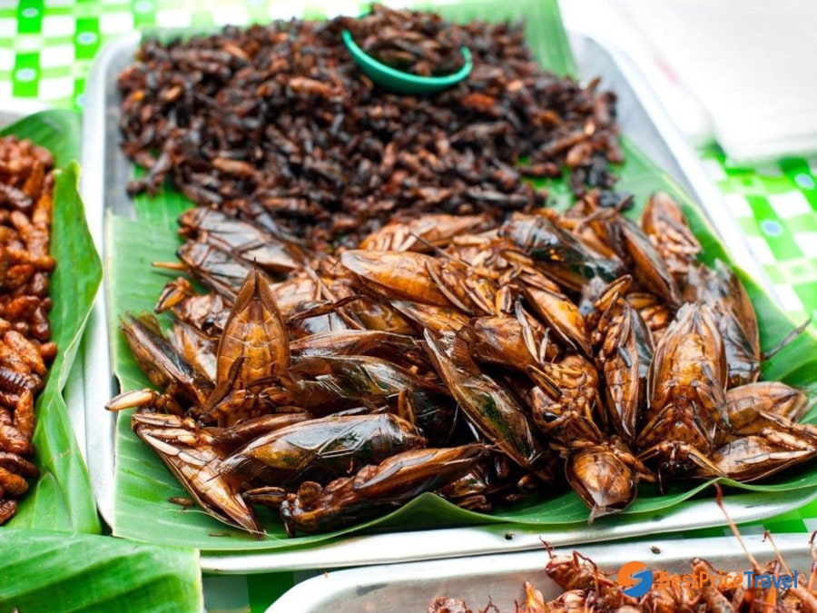 Cambodian Fried Insects
