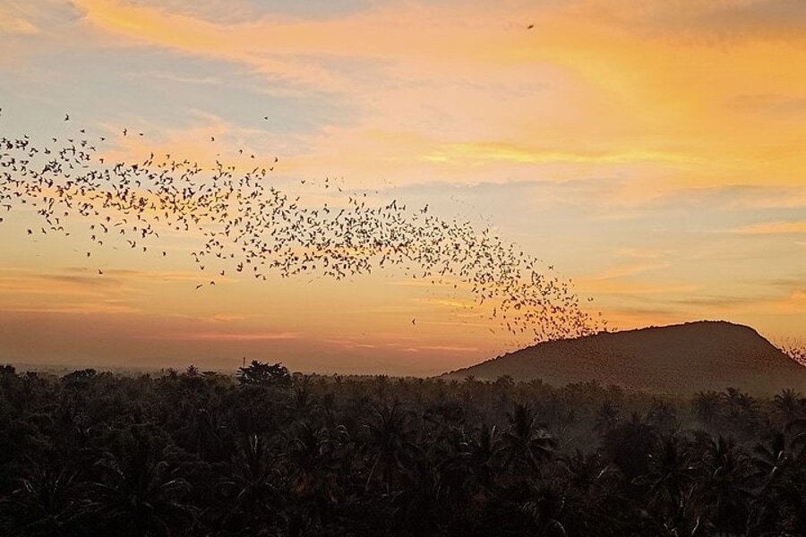 Bat Cave Battambang at dusk