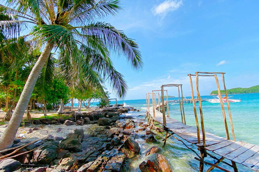 Coconut Groves And Flat Karst Area