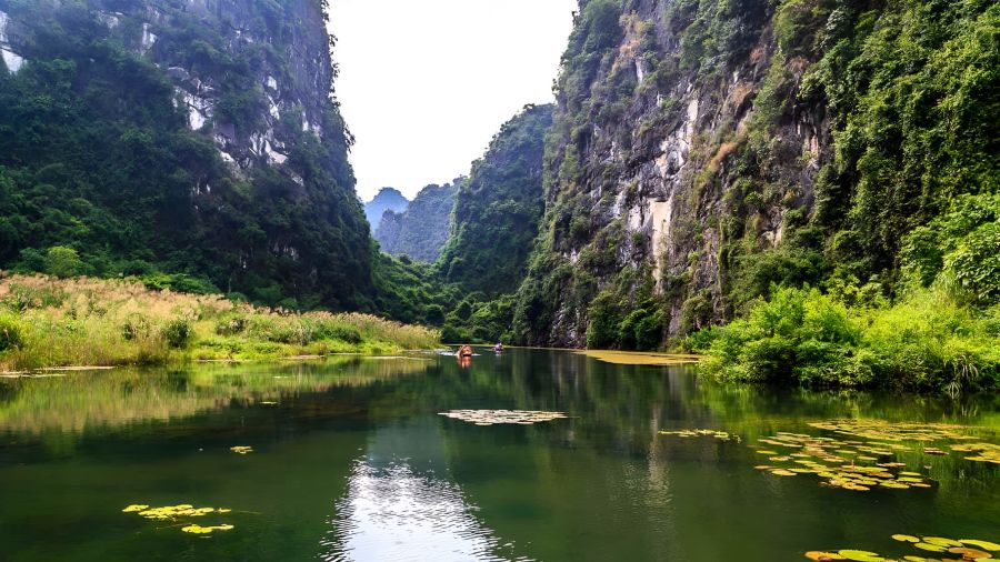 Discover A Rich And Lively Ecosystem