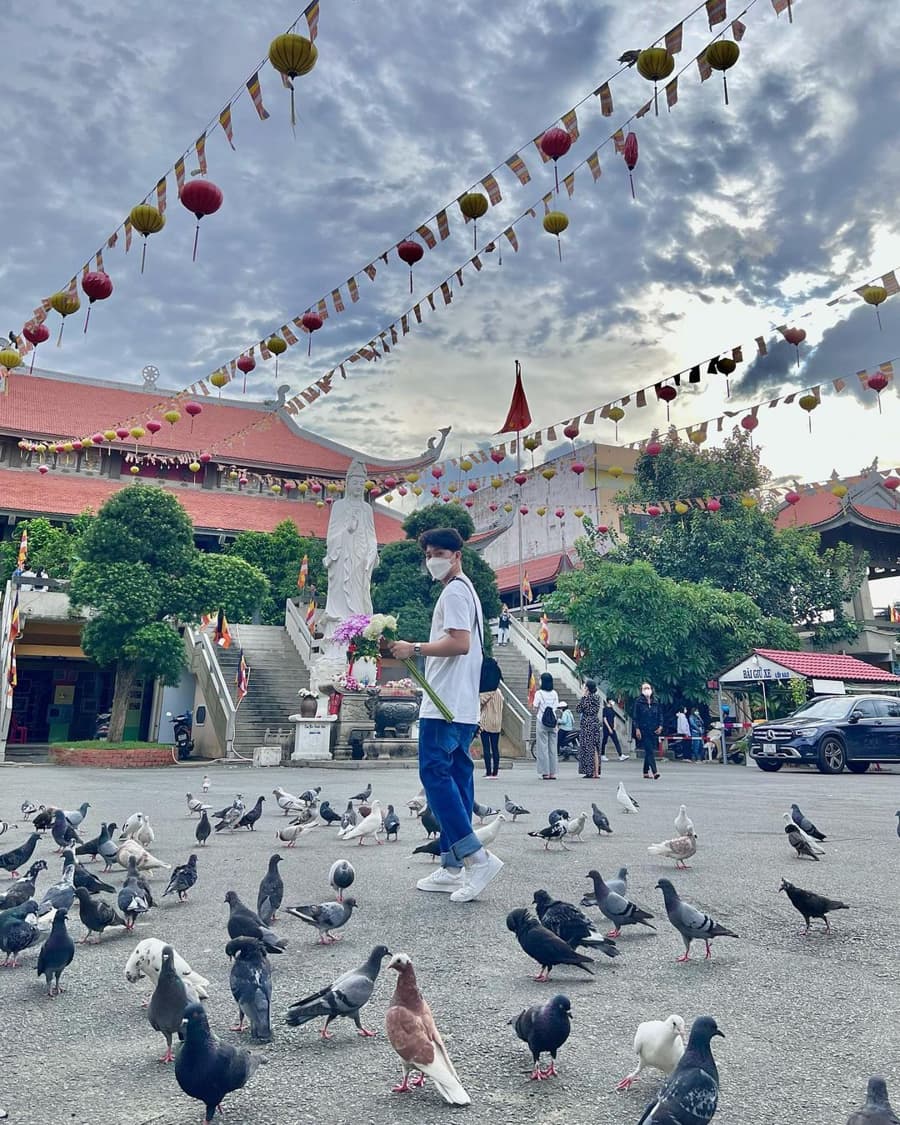 Enjoy Serene Contemplation Within The Courtyard of the pagoda