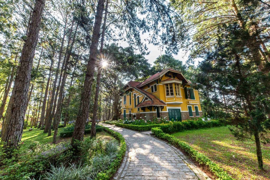 Enjoy the Peaceful Garden and Pine Forest Views