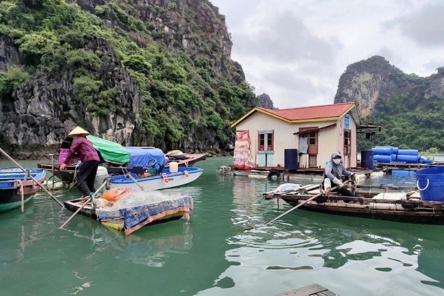 Experience Traditional Fishing Techniques