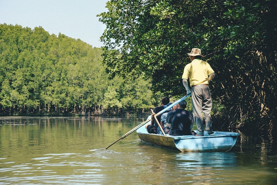 Explore Mangrove Waterways by Boat