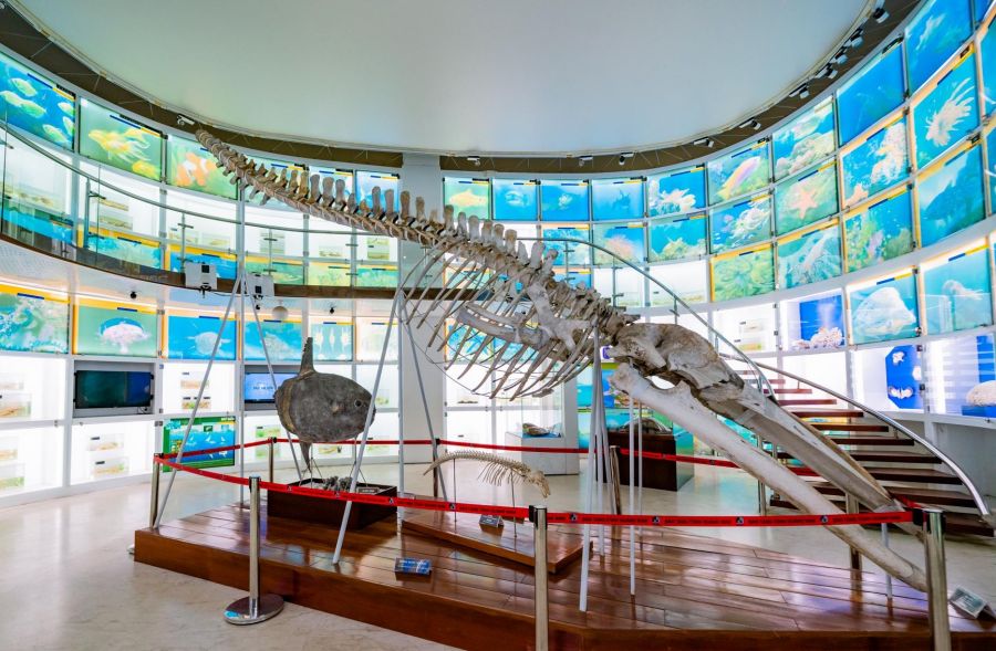 Floor 1 A Vivid Portrait Of Nature And The Sea