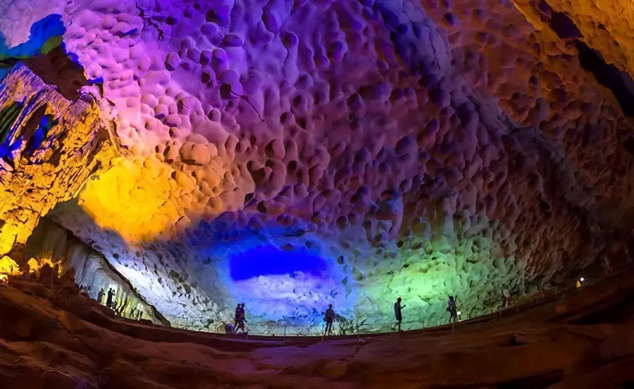 Giant Size And Rich Biodiversity