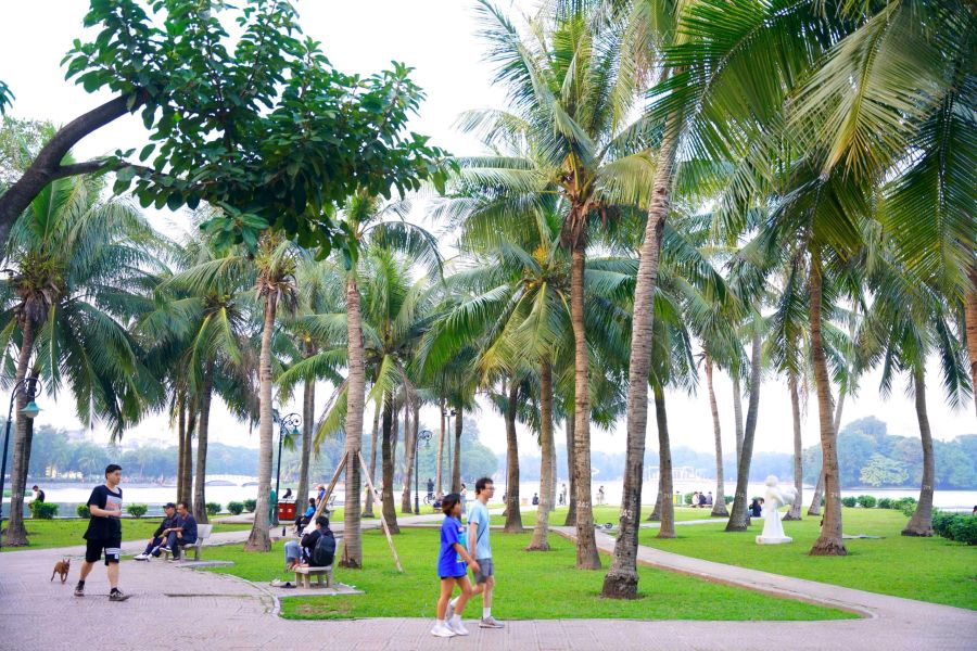 Immerse Yourself In Fresh Green Space