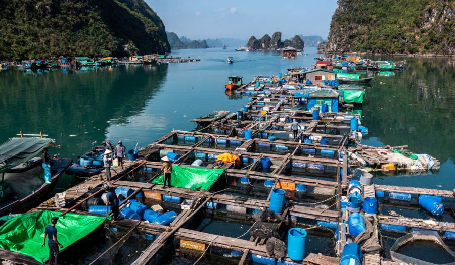 
Learn-About-Traditional-Fishing-And-Aquaculture