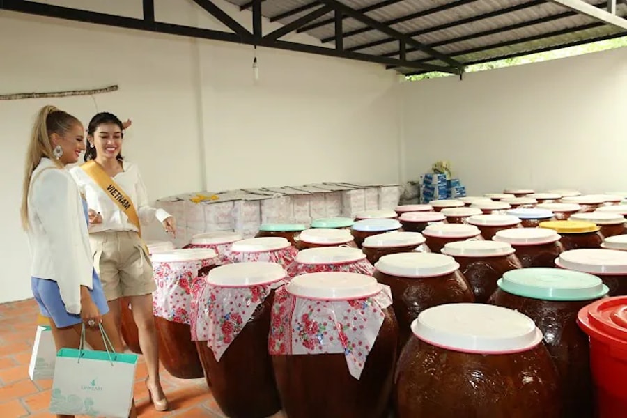 Learn The Traditional Sim Winemaking Process