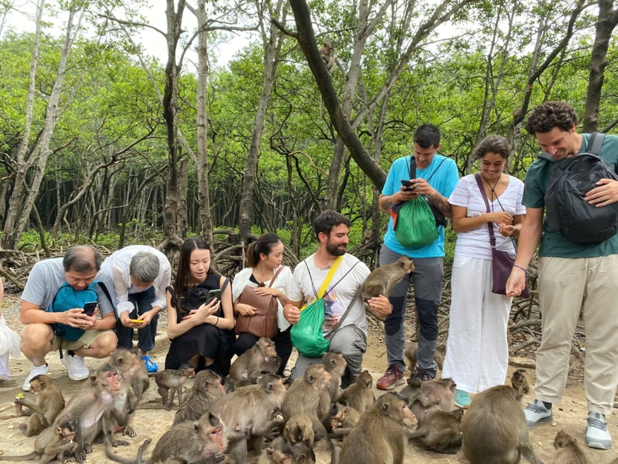 Monkey Island (Dao Khi) In Can Gio Mangrove Forest