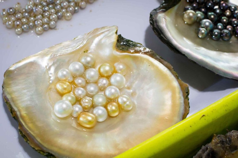 Pearl in Pearl Farm Phu Quoc