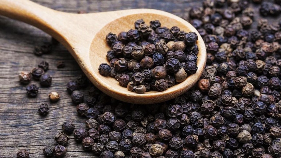 Pepper Processing & Drying Area