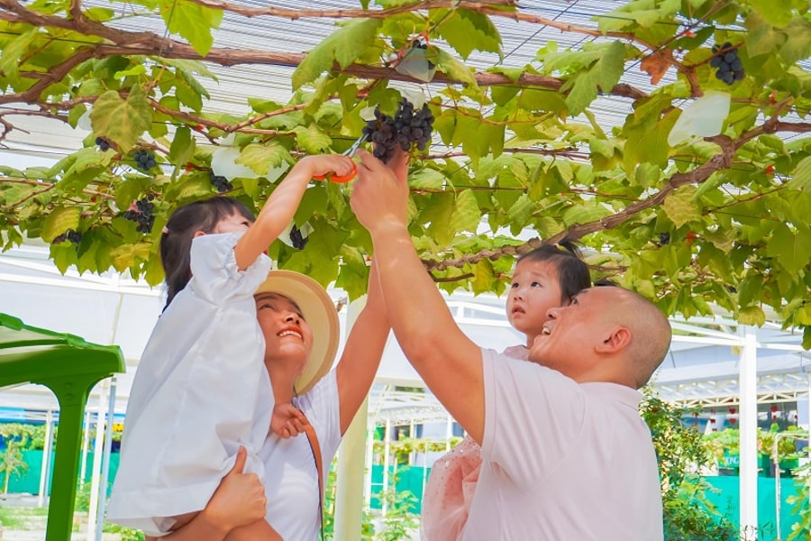 Relax in Scenic Garden Areas