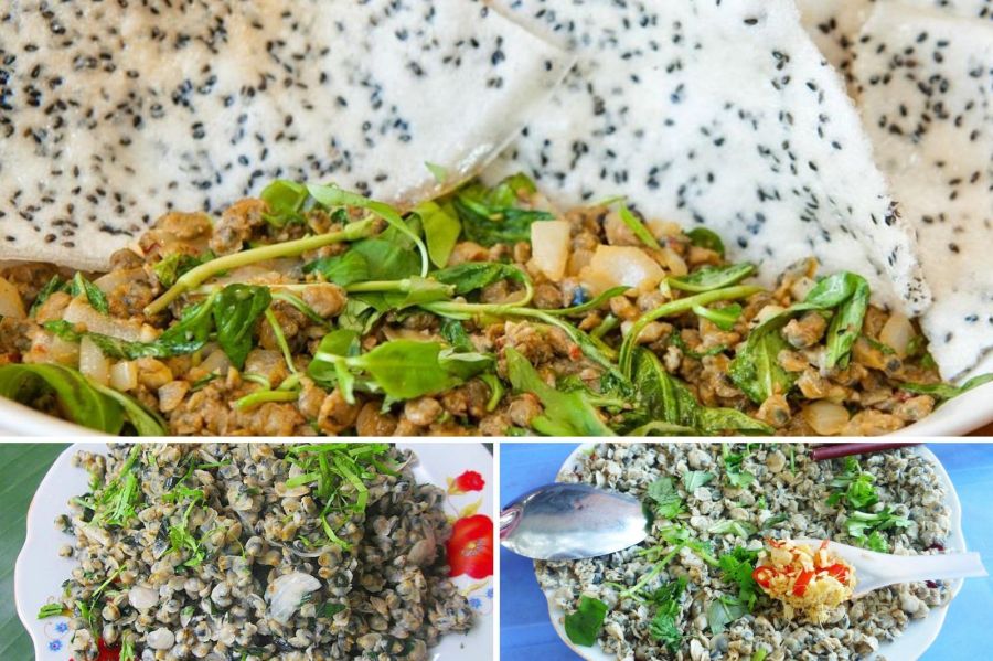 Snails From Gianh River