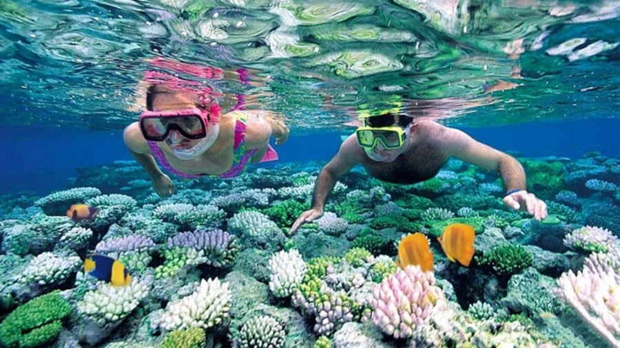Snorkeling Among Colorful Coral Reefs