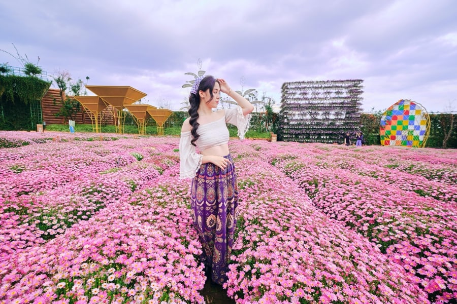 Stroll Through Scenic Flower Gardens