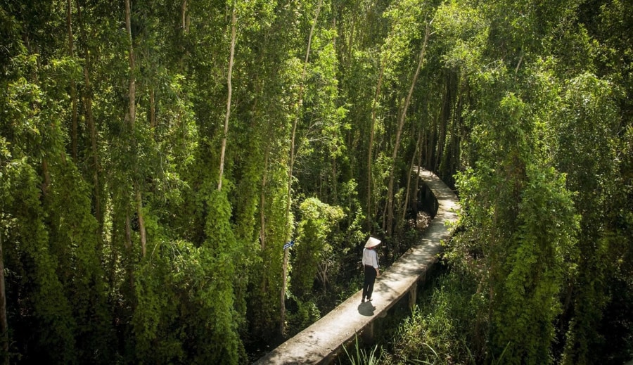 Strolling Along The Wooden Boardwalk Over The Water