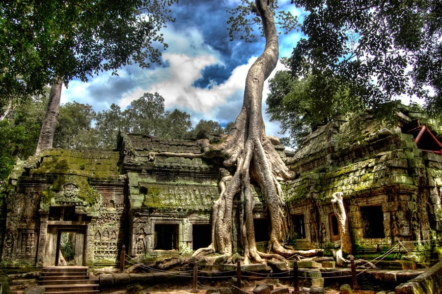 Ta Prohm - The Temple Embraced By Nature