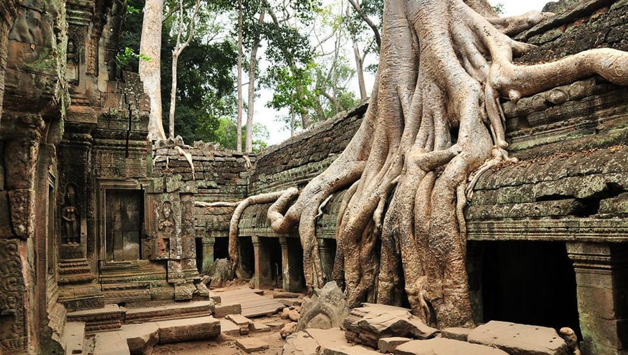 Ta Prohm in Siem Rep