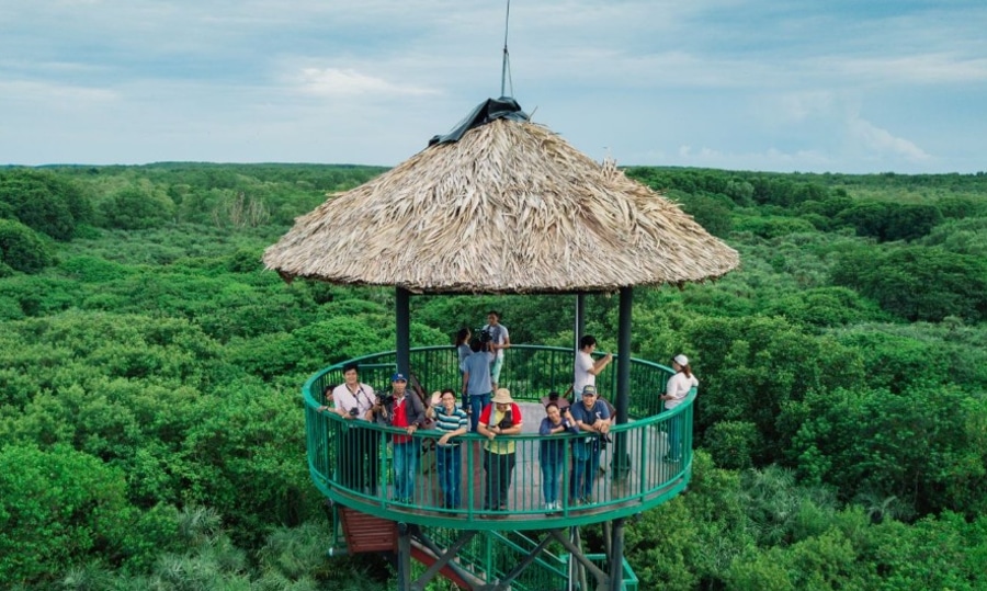 Tang Bong Tower is the highest observation point in Can Gio Mangrove Forest