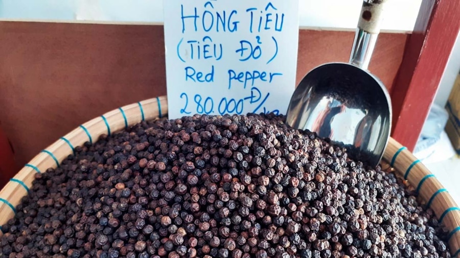 Taste and Buy Authentic Phu Quoc Pepper