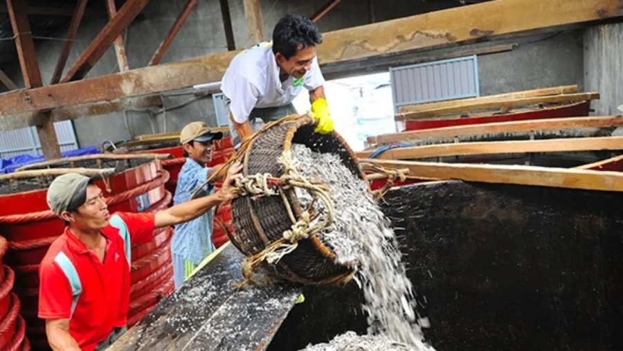 Traditional Fish Sauce-Making Process