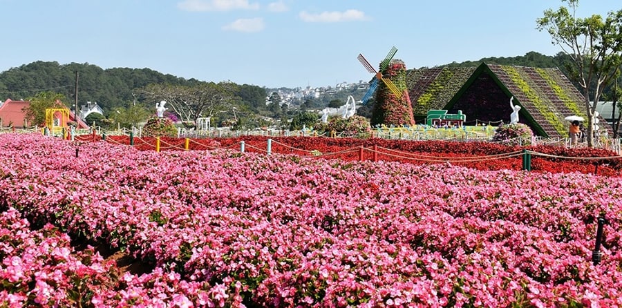 Van Thanh Flower Village has beautiful flowers and gardens