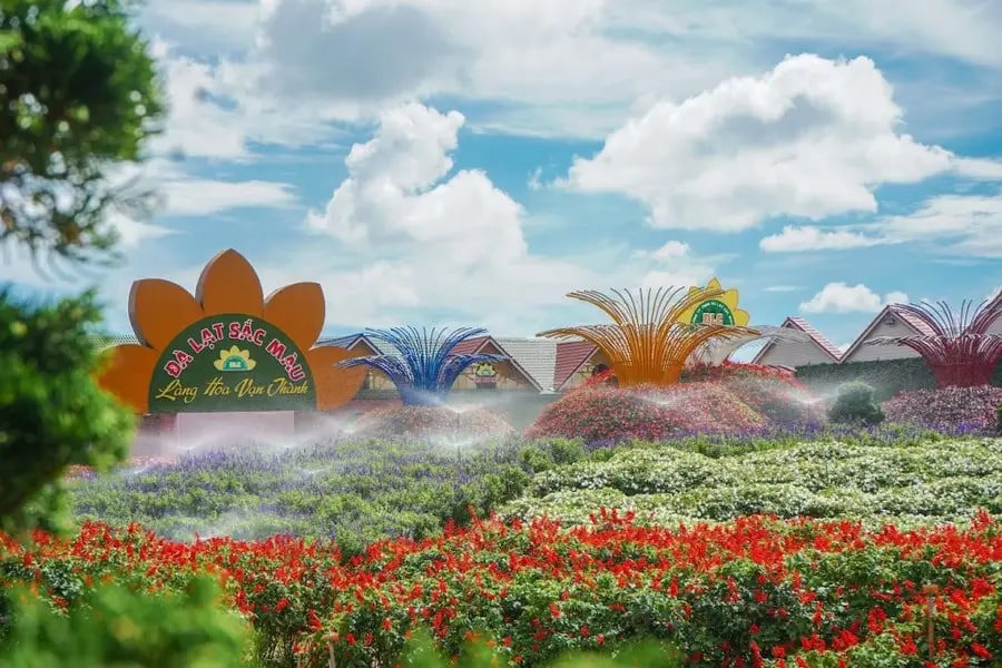Van Thanh Flower Village operates daily