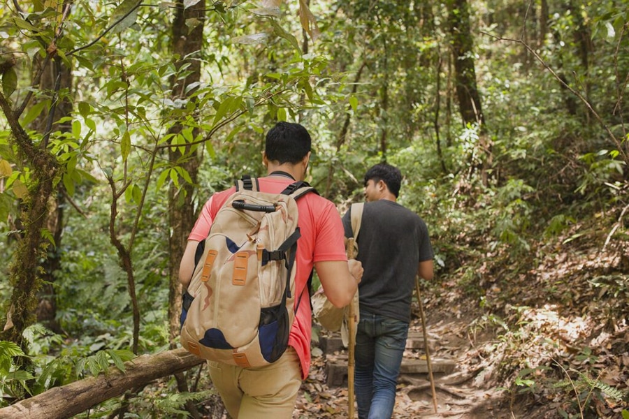 Walking in the jungle on Koh Rong Samloem