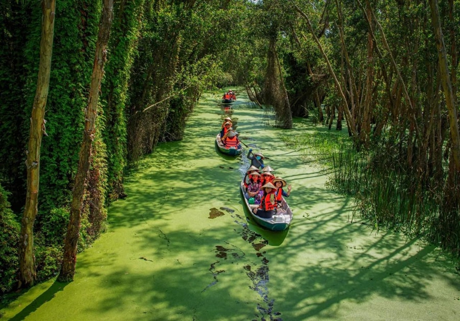 Wetland System Of Melaleuca Forest