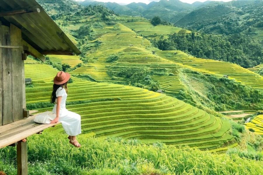 The Terraced Rice Fields of Sin Chai