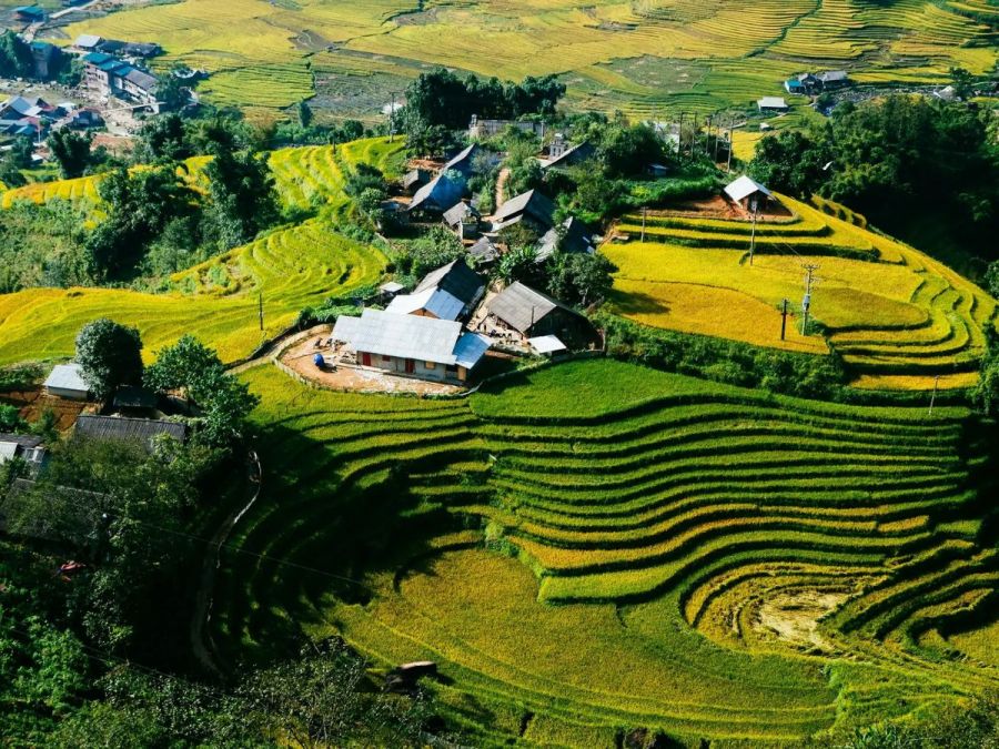 Photographing Terraced Fields and Natural Landscapes