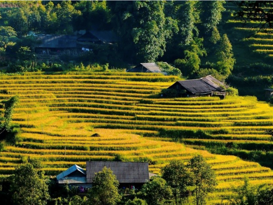 Introduction To Sin Chai Village