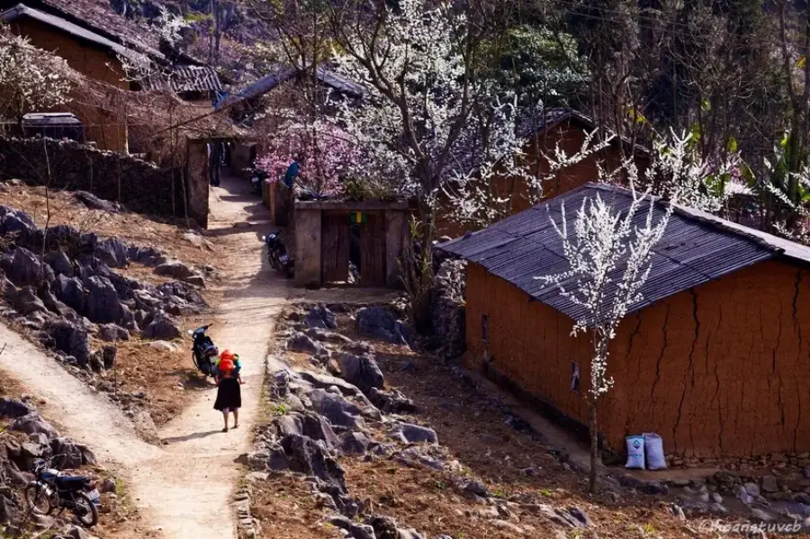 Pho Bang Ancient Town