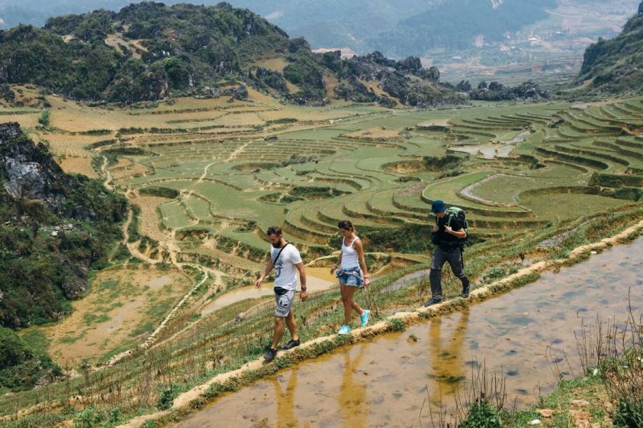 trek through Mountain Trails and Terraced Rice Fields