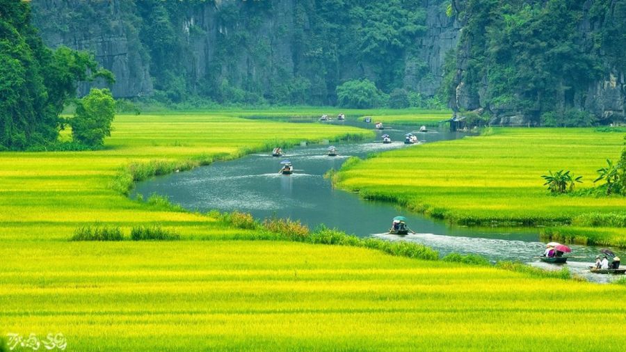 boat to thai vi temple