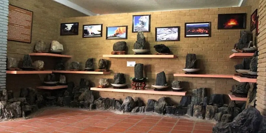 exhibition inside the Coi nguon museum