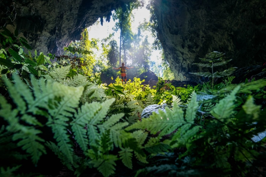 pygmy cave in spring
