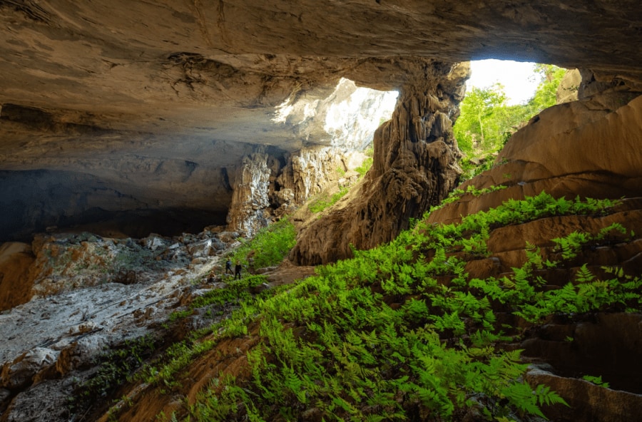 pygmy cave in summer