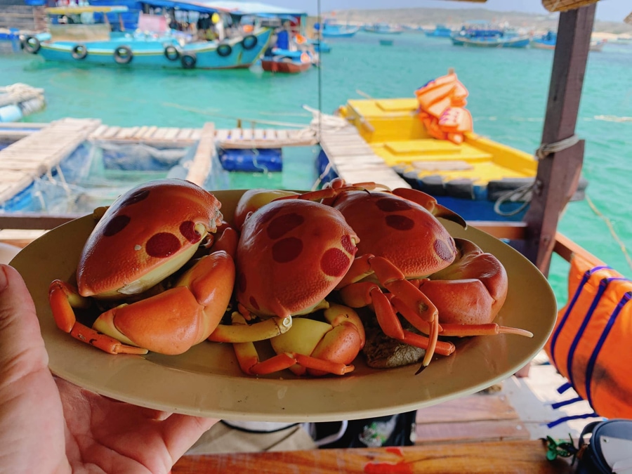 seafood in phu quy island