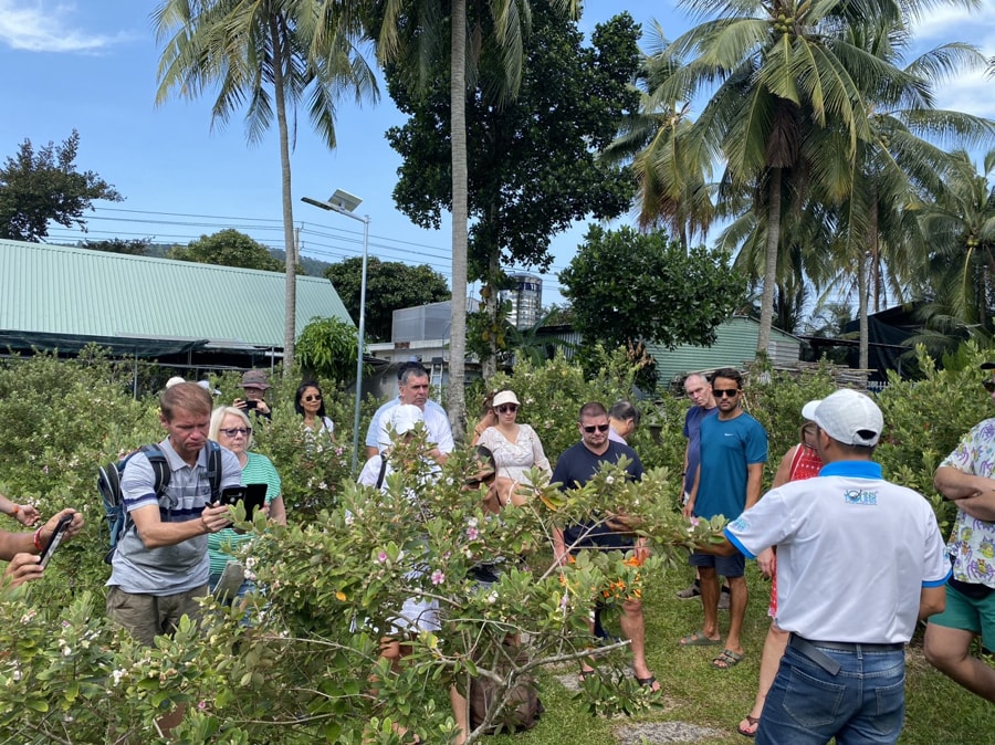 visit sim garden in phu quoc